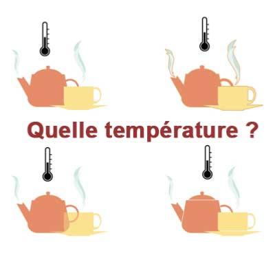 TEMPERATURE DE L EAU POUR LE THE